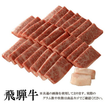 【送料無料】飛騨牛 霜降り 焼肉用カルビ500g［贈答兼備］