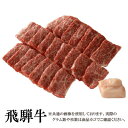 【送料無料】飛騨牛 霜降り 焼肉用ロース300g［贈答兼備］