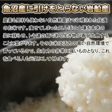 【送料無料】☆新潟県岩船産　コシヒカリ　10kg （5kg×2個） 玄米（29年産）［新鮮！厳選☆新潟県産地直送］★お米マイスターが見極める艷やかな透き通る特上の輝き お中元、お歳暮、御祝い、お礼、内祝にも！！ギフト［贈答兼備]特別セール【楽ギフ_のし宛書】