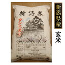 新潟産 コシヒカリ 10kg（5kg×2個）玄米（令和5年産）送料無料［贈答兼備]