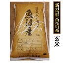 【送料無料】魚沼産コシヒカリ 10kg (5kg×2個) 玄...