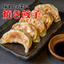 焼き餃子 (12/50/100個入)【大東北-本格中華点心】餃子 中華料理 おかず 惣菜 点心 グルメ 受注生産 工場直売 瞬間冷凍 簡単調理 冷凍食品 国産素...