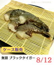 ブラックタイガー 無頭 殻付えび 8/12 サイズ 冷凍 NET1.8kg×6箱 アイスブロック 業務用 から付き 海老 東南アジア産 BT 天ぷら エビフライ...