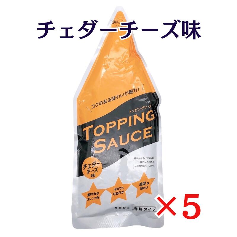 ニップン トッピングソース チェダーチーズ味 300g×5袋 nippn 業務タイプ チーズソース 常温便