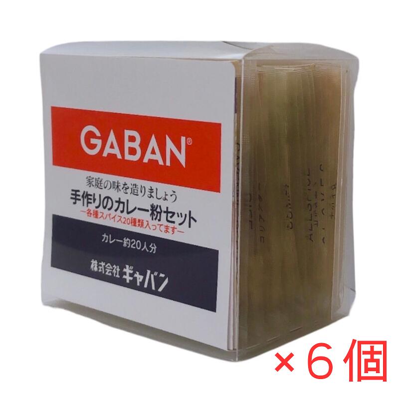 GABAN 手作りのカレー粉セット 100g×6個 ギャバン スパイスカレー 20種類 香辛料 調味料 パウダー 本格的カレー オリジナルカレー