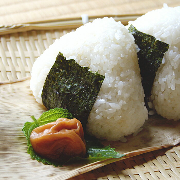 【海苔 有明海産 焼海苔 焼のり 味付け海苔 味のり】【お得パック お徳用 8切 メール便送料無料】贅沢焼海苔と贅沢味付海苔 8切100枚×2袋 丸上 [M便 1/3]【朝食 和食 おつまみ ポイント消化 食べ比べ】