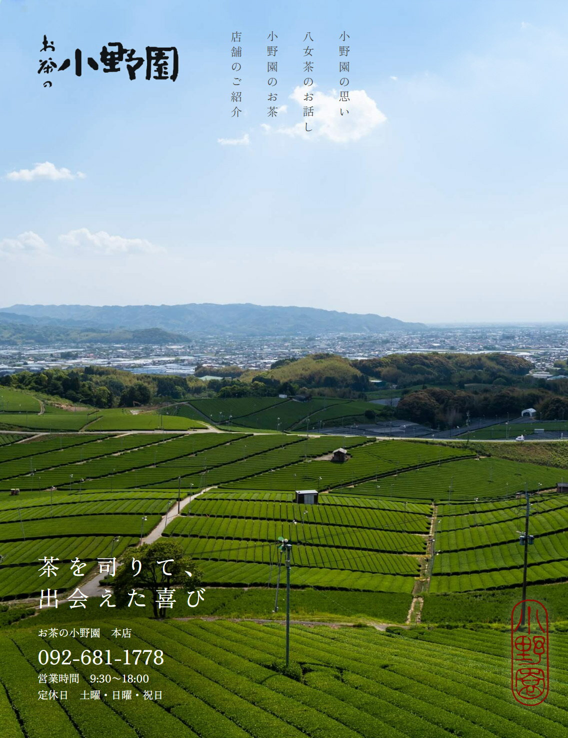 お茶 緑茶 茶葉 1000円ポッキリ 送料無料 小野園のお茶 飲み比べ2袋セット（白折130g、煎茶150g）【メール便送料無料】[M便 1/2]【九州茶 1000円ポッキリ】 2