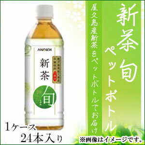 新茶 2024 お茶 ハラダ製茶鹿児島県屋久島産新茶【旬】ペ