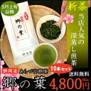 新茶 2024 お茶 日本茶ハラダ製茶 源宗園 静岡産 あらづくり煎茶 郷の葉（さとのは）100g