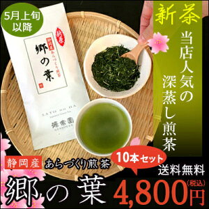 新茶 2024 お茶 日本茶ハラダ製茶 源宗園 静岡産 あらづくり煎茶 郷の葉（さとのは）100g【静岡県産】【水出し緑茶/深蒸し茶/緑茶/一番茶】【5月上旬より順次発送】