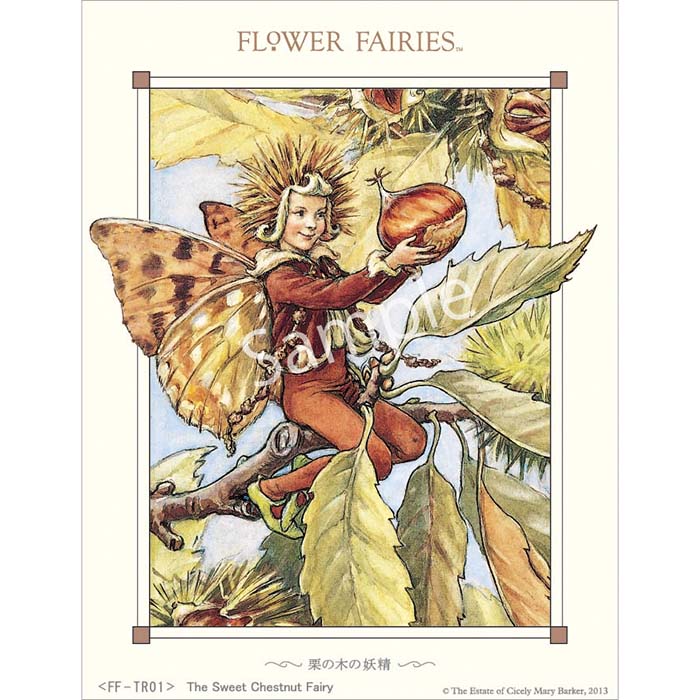 ヂヤンテイ フラワーフェアリーズ 3-Dアート用プリント 栗の木の妖精 FFT-TR01