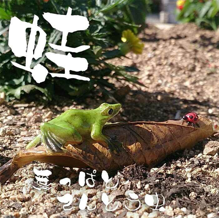 蛙 カエル かえる 置物 インテリア お店 庭 入口 かわいい おしゃれ 葉っぱとテントウムシ