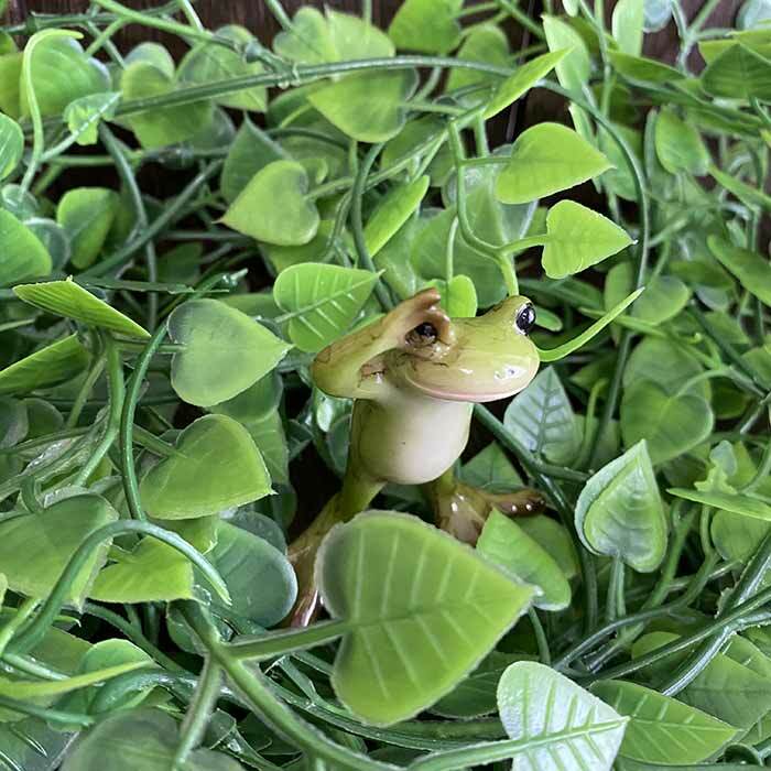 蛙 カエル かえる 置物 インテリア お店 庭 入口 かわいい おしゃれ カエル OK OK