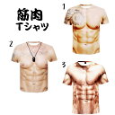 筋肉Tシャツ メンズ Tシャツ 3Dデジ