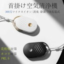 USB充電式 タバコ PM2.5 煙 ダニ 花粉 ほこり 超軽量 小型 ネックレス 除菌 消臭 マイナスイオン 首掛け空気清浄機 コロナ ウイルス除去