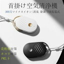 USB充電式 タバコ PM2.5 煙 ダニ 花粉 ほこり 超軽量 小型 ネックレス 除菌 消臭 マイナスイオン 首掛け空気清浄機 コロナ ウイルス除去 携帯空気...