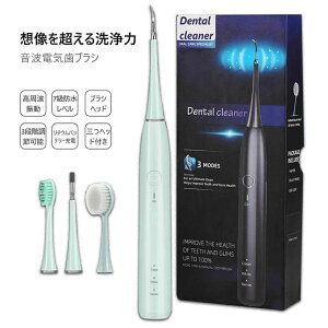 歯垢をしっかり除去 充電式 口腔洗浄器 歯間の汚れをしっかり除去 残留物なし 三つヘッド付き リチウムバッテリー充電 除去 歯石 大人 3段階調節可能 7級防水レベル はぶらし 電動ハブラシ 歯 歯茎 音波電気歯ブラシ