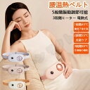 自宅家庭用 男女兼用 寒さ対策 カイロ 充電 充電式カイロ 暖房用品 腰ベル 携帯便利 軽量 USB充電式 腰サポーター 3段階ヒーター 5つの振動調節可能 電...