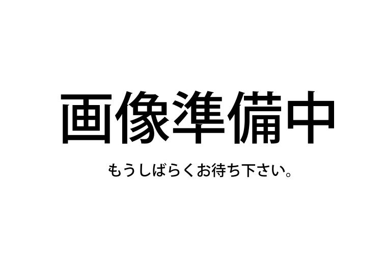 Dr.Arrivo Zeus II ドクター アリーヴォ ゼウス 2 ARTISTIC&CO 美顔器 アテナローズ