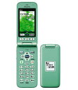 yÁzySۏ؁z 炭炭z F-02J[8GB] docomo ~gO[