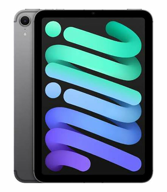 šۡڰ¿ݾڡ iPad mini 8.3 A17 Pro[128GB] 顼 SoftBank ڡ쥤
