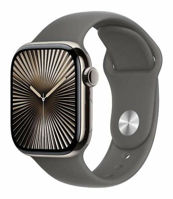 【中古】【安心保証】 Series10[42mm/セルラー]チタン ナチュラル Apple Watch