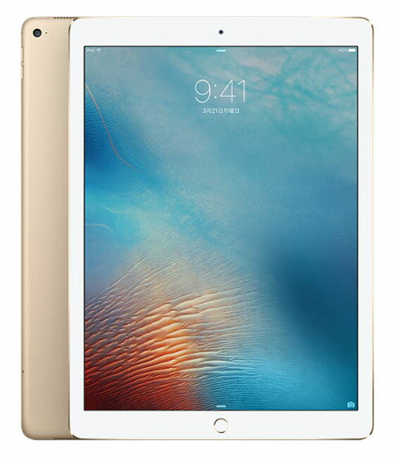 šۡڰ¿ݾڡ iPadPro 12.9 1[256GB] Wi-Fiǥ 