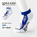 ANA ひこうきくつした キッズ靴下 13-18cm SORAKIDS ソラキッズ 1歳 2歳 3歳 4歳 飛行機 プレゼント 男の子 女の子 お土産 空港 プ...