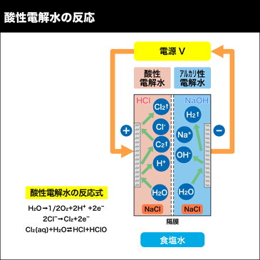 ポータブル強電解水 (強酸性次亜塩素酸水）生成器 【アルトロン・ミニ AL-700A】強アルカリ水 強酸性水 ドアノブ 手指 除菌 ノロ ウイルス お取り寄せ品、通常1.5〜2ヶ月程で出荷予定※取り寄せ受注生産につきご注文後のキャンセル不可。 ランキング1位