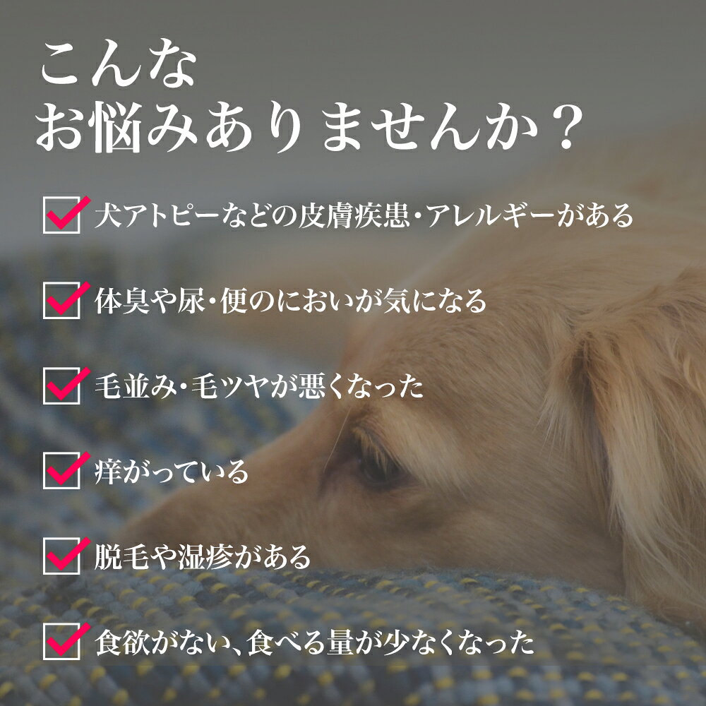 デイリーチョイス Daily Choice PREMIUM 300g 送料無料 ペット用サプリ サプリメント 犬・猫用（イヌ・ネコ）サプリ 国産発酵エキス 納豆菌 犬アトピー性皮膚炎 かゆみ 湿疹 ふん うんち おしっこ におい 体臭軽減 geomart-10014833 ジオマート(Geomart) サンプル画像2