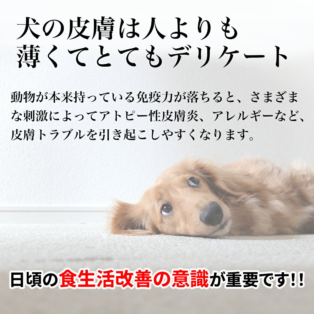 デイリーチョイス Daily Choice PREMIUM 300g 送料無料 ペット用サプリ サプリメント 犬・猫用（イヌ・ネコ）サプリ 国産発酵エキス 納豆菌 犬アトピー性皮膚炎 かゆみ 湿疹 ふん うんち おしっこ におい 体臭軽減 geomart-10014833 ジオマート(Geomart) サンプル画像3