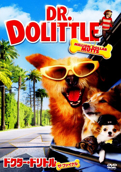 【中古】ドクター・ドリトル ザ・ファイナル (完) 【DVD】／カイラ・プラットDVD／洋画コメディ