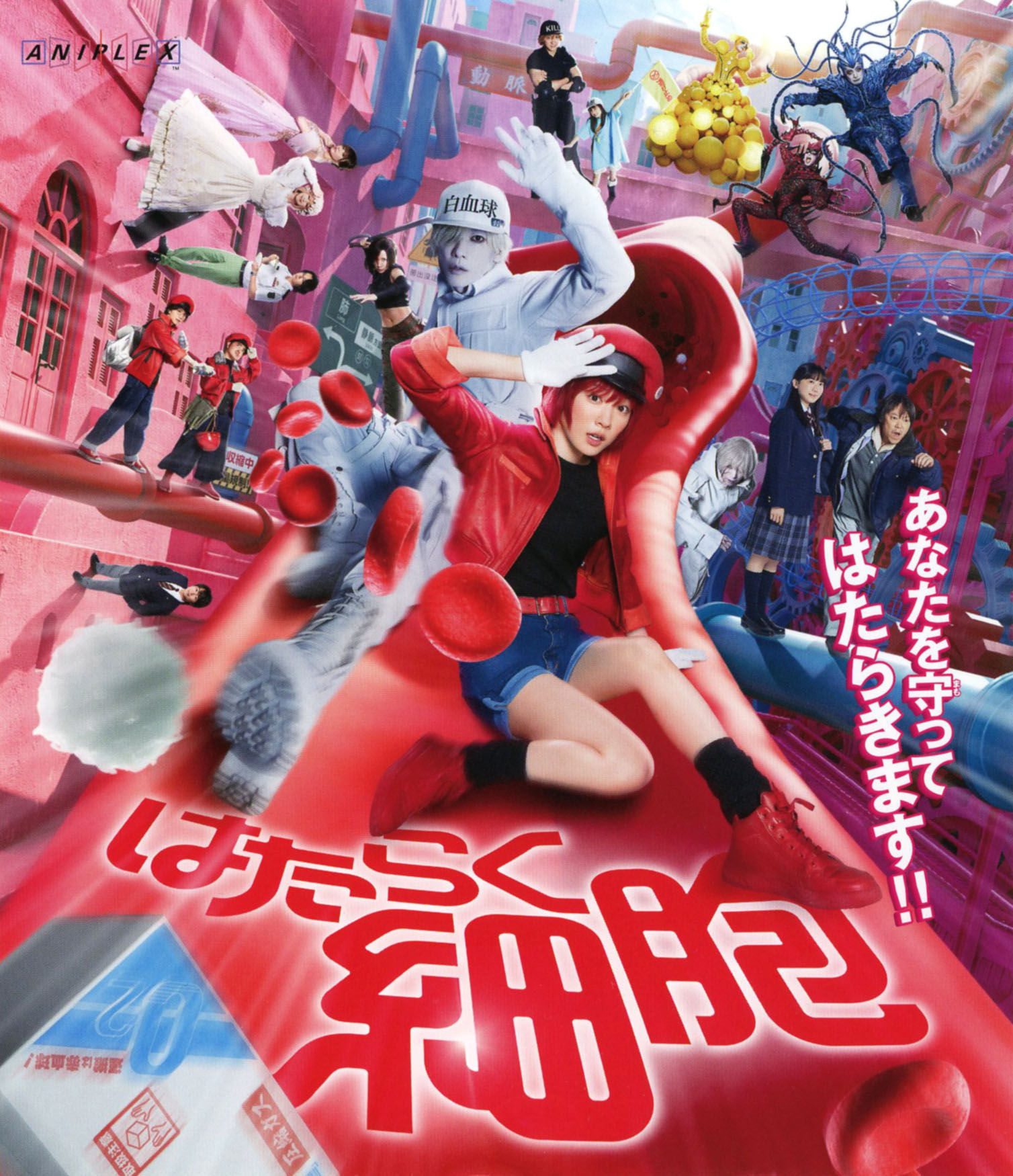 【中古】はたらく細胞 (実写) 【ブルーレイ】／永野芽郁ブルーレイ／邦画アクション