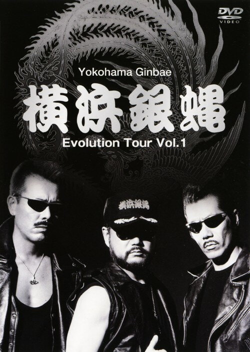 楽天市場】横浜銀蝿 dvdの通販