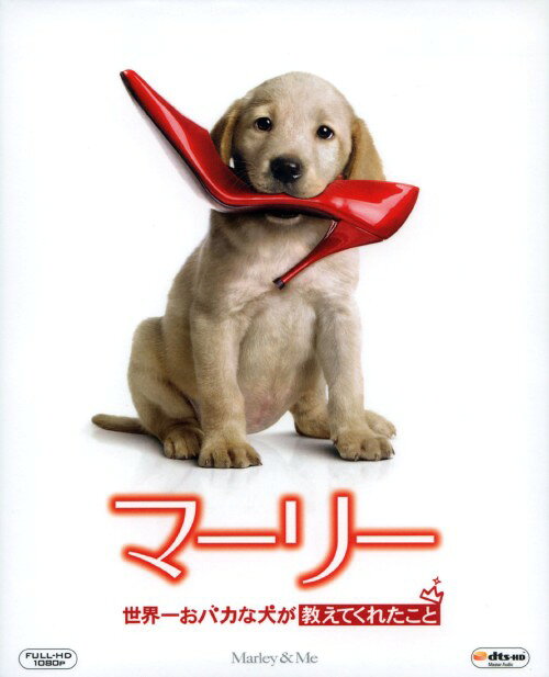 タイトル マーリー 世界一おバカな犬が教えてくれたこと 【ブルーレイ】 &nbsp; マーリーセカイイチオバカナイヌガオシエテクレタコト アーティスト名 オーウェン・ウィルソン ジャンル 洋画コメディ動物 発売日 2009/10/02発売 規格番号 FXXA-36302 JAN 4988142754226 おバカなレトリバー犬と飼い主一家の交流をオーウェン・ウィルソンとジェニファー・アニストン共演で描いたファミリードラマ。ジョンとジェニーの夫婦は、子育ての予行演習のために子犬を飼うことにするが、引き取った犬は手に負えない暴れん坊で…。 ※中古商品の場合、商品名に「初回」や「限定」・「○○付き」（例　Tシャツ付き）等の記載がございましても、特典等は原則付属しておりません。また、中古という特性上ダウンロードコード・プロダクトコードも保証の対象外です。コードが使用できない等の返品はお受けできません。ゲーム周辺機器の箱・取扱説明書及び、ゲーム機本体のプリインストールソフト、同梱されているダウンロードコードは初期化をしていますので、保証の対象外となっております。 尚、商品画像はイメージです。 ※2点以上お買い求めのお客様へ※ 当サイトの商品は、ゲオの店舗と共有しております。 商品保有数の関係上、異なる店舗から発送になる場合があり、お届けの荷物が複数にわかれたり、到着日時が異なる可能性がございます。（お荷物が複数になっても、送料が重複する事はございません） 尚、複数にわけて発送した場合、お荷物にはその旨が記載されておりますので、お手数ですが、お荷物到着時にご確認いただけますよう、お願い申し上げます。 ※ご登録頂いた配送先住所内容の不備等により、弊社へ商品が返還された場合は自動的にキャンセル処理となりますので、配送先住所の登録の際には、お間違いのないよう、くれぐれもご注意お願い申し上げます。 ※商品の状態問合せに関しまして、弊社は複数の拠点で商品の管理を行っておりますので、お答えができません。 ※当サイトの在庫について 当サイトの商品は店舗と在庫共有をしており、注文の重複や、商品の事故等が原因により、ご注文頂いた後に、 キャンセルさせていただく場合がございます。 楽天ポイントの付与・買いまわり店舗数のカウント等につきましても、発送確定した商品のみの対象になりますので、キャンセルさせて頂いた商品につきましては、補償の対象外とさせていただきます。 ご了承の上ご注文下さい。