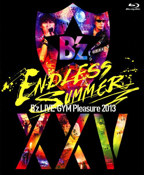 yÁzBfz LIVE-GYM Pleasure 2013 ENDLcS yu[Cz^Bfzu[C^f̑y