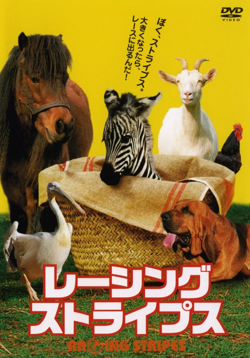 タイトル レーシング・ストライプス 【DVD】 &nbsp; レーシングストライプス アーティスト名 ブルース・グリーンウッド ジャンル 洋画コメディ動物 発売日 2005/09/28発売 規格番号 DZ-0170 JAN 4988105045750 『ベイブ』のシマウマ版ともいえる、家族向けの動物コメディー。競走馬を夢見るシマウマ君がレースに出て優勝を目指す！CGとアニマトロニクスを駆使した主人公の動き、豪華声優陣もすごい。 ※中古商品の場合、商品名に「初回」や「限定」・「○○付き」（例　Tシャツ付き）等の記載がございましても、特典等は原則付属しておりません。また、中古という特性上ダウンロードコード・プロダクトコードも保証の対象外です。コードが使用できない等の返品はお受けできません。ゲーム周辺機器の箱・取扱説明書及び、ゲーム機本体のプリインストールソフト、同梱されているダウンロードコードは初期化をしていますので、保証の対象外となっております。 尚、商品画像はイメージです。 ※2点以上お買い求めのお客様へ※ 当サイトの商品は、ゲオの店舗と共有しております。 商品保有数の関係上、異なる店舗から発送になる場合があり、お届けの荷物が複数にわかれたり、到着日時が異なる可能性がございます。（お荷物が複数になっても、送料が重複する事はございません） 尚、複数にわけて発送した場合、お荷物にはその旨が記載されておりますので、お手数ですが、お荷物到着時にご確認いただけますよう、お願い申し上げます。 ※ご登録頂いた配送先住所内容の不備等により、弊社へ商品が返還された場合は自動的にキャンセル処理となりますので、配送先住所の登録の際には、お間違いのないよう、くれぐれもご注意お願い申し上げます。 ※商品の状態問合せに関しまして、弊社は複数の拠点で商品の管理を行っておりますので、お答えができません。 ※当サイトの在庫について 当サイトの商品は店舗と在庫共有をしており、注文の重複や、商品の事故等が原因により、ご注文頂いた後に、 キャンセルさせていただく場合がございます。 楽天ポイントの付与・買いまわり店舗数のカウント等につきましても、発送確定した商品のみの対象になりますので、キャンセルさせて頂いた商品につきましては、補償の対象外とさせていただきます。 ご了承の上ご注文下さい。