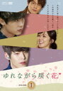 【中古ポイント5倍 5/9 20:00〜5/16 1:59】【中古】1.ゆれながら咲く花 BOX 【DVD】/チャン・ナラDVD/韓流・華流