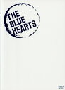 【中古】ブルーハーツが聴こえない HISTORY OF THE BLU… 【DVD】/ザ・ブルーハーツDVD/映像その他音楽