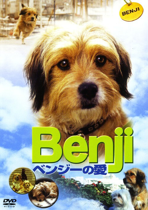 タイトル ベンジーの愛 【DVD】 &nbsp; ベンジー アーティスト名 シンシア・スミス ジャンル 洋画コメディ動物 発売日 2007/04/27発売 規格番号 PCBE-12511 JAN 4988013286641 チャップマン一家と共にクレタ島に旅行することになるが、ベンジーだけ手違いでアテネに着いてしまう。そしてひょんなことから、国際スパイ団に追われることに…。かわいい雑種犬が活躍する第2作。 ※中古商品の場合、商品名に「初回」や「限定」・「○○付き」（例　Tシャツ付き）等の記載がございましても、特典等は原則付属しておりません。また、中古という特性上ダウンロードコード・プロダクトコードも保証の対象外です。コードが使用できない等の返品はお受けできません。ゲーム周辺機器の箱・取扱説明書及び、ゲーム機本体のプリインストールソフト、同梱されているダウンロードコードは初期化をしていますので、保証の対象外となっております。 尚、商品画像はイメージです。 ※2点以上お買い求めのお客様へ※ 当サイトの商品は、ゲオの店舗と共有しております。 商品保有数の関係上、異なる店舗から発送になる場合があり、お届けの荷物が複数にわかれたり、到着日時が異なる可能性がございます。（お荷物が複数になっても、送料が重複する事はございません） 尚、複数にわけて発送した場合、お荷物にはその旨が記載されておりますので、お手数ですが、お荷物到着時にご確認いただけますよう、お願い申し上げます。 ※ご登録頂いた配送先住所内容の不備等により、弊社へ商品が返還された場合は自動的にキャンセル処理となりますので、配送先住所の登録の際には、お間違いのないよう、くれぐれもご注意お願い申し上げます。 ※商品の状態問合せに関しまして、弊社は複数の拠点で商品の管理を行っておりますので、お答えができません。 ※当サイトの在庫について 当サイトの商品は店舗と在庫共有をしており、注文の重複や、商品の事故等が原因により、ご注文頂いた後に、 キャンセルさせていただく場合がございます。 楽天ポイントの付与・買いまわり店舗数のカウント等につきましても、発送確定した商品のみの対象になりますので、キャンセルさせて頂いた商品につきましては、補償の対象外とさせていただきます。 ご了承の上ご注文下さい。