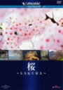 【中古】1.桜 SAKURA 【DVD】DVD/映像その他音楽