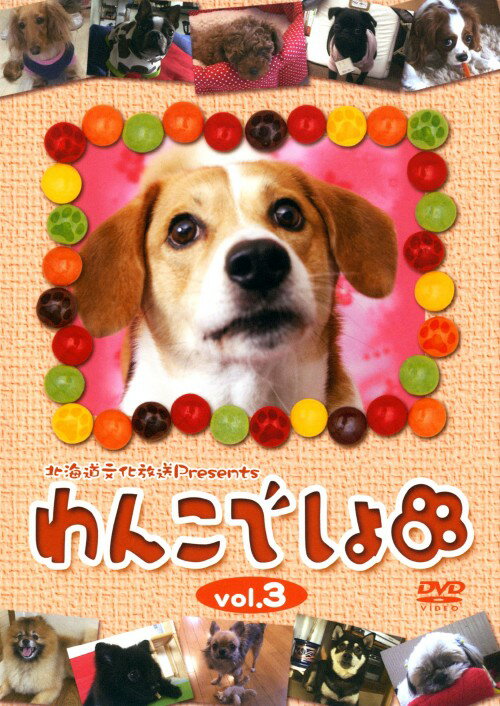 【中古】3．わんこでしょ 【DVD】／水野悠希DVD／邦画バラエティ...