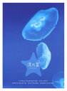 【中古】流れ星 完全版 BOX 【DVD】／竹野内豊DVD／邦画TV