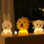 Bundle Of Light Boris Lion Miffymiffy and friends ե ץ쥼 ץ쥼 襤 եȥꥳ