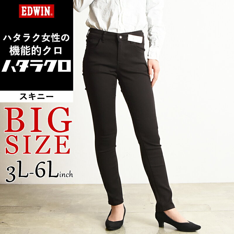 礭ۡڥ롿10%OFFEDWIN ɥ ϥ饯 ˡ ѥ ֥å ǥ  ؿ  줤 ӥ Ż  ӥå ӥå BIG MEB006gs0