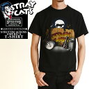 SALE【セール／20 OFF】【公式】 Stray Cats x Style Eye ストレイキャッツ×スタイルアイズ ロック Tシャツ リミテッドエディション STRUTTIN 039 ACROSS AMERICA 半袖 バンドT バンT メンズ SUN SURF サンサーフ 人気 SE78298【ss】30【gs0】