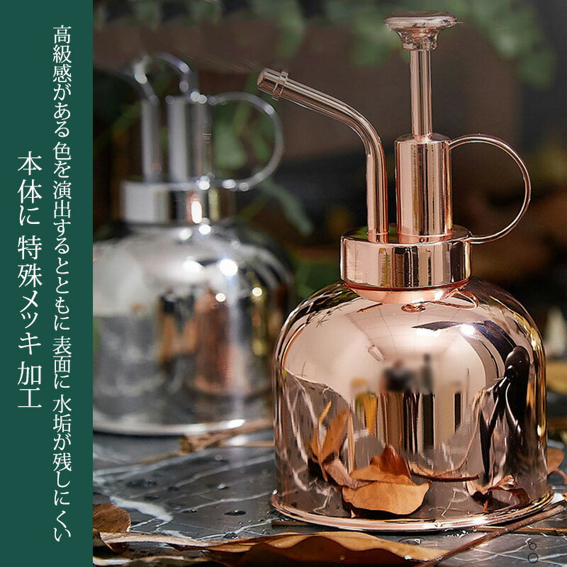 ���礦�� ���硼�� ̸�᤭ ���ץ졼�ܥȥ� 250ml ���ƥ�쥹�� ���տ�ʪ �����ǥ˥� ��� �ݽ� ���� ���� ������� �� ��ʪ ��鴶 ���� ���� ����ƥꥢ������̵����