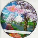 【中古】春色桜瀬 「恋桜」オープニングテーマ