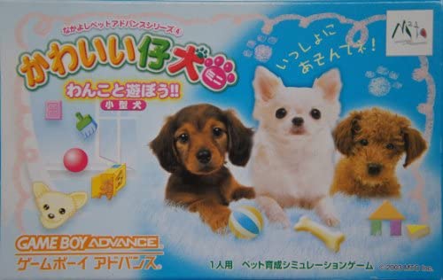 【中古】かわいい仔犬ミニ　わんこ