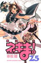 【中古】魔法先生ネギま!(25) (講談社コミックス) 赤松 健